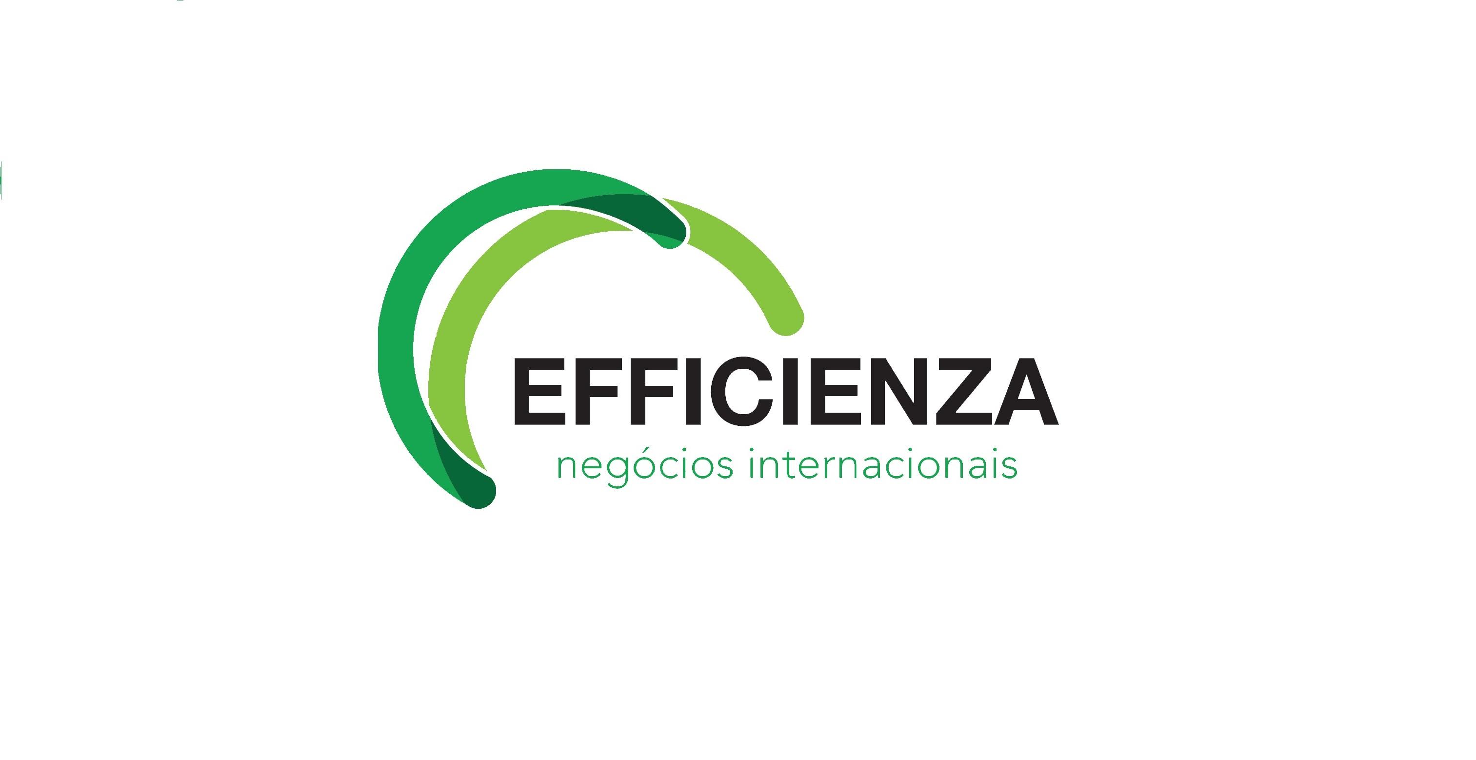 Efficienza