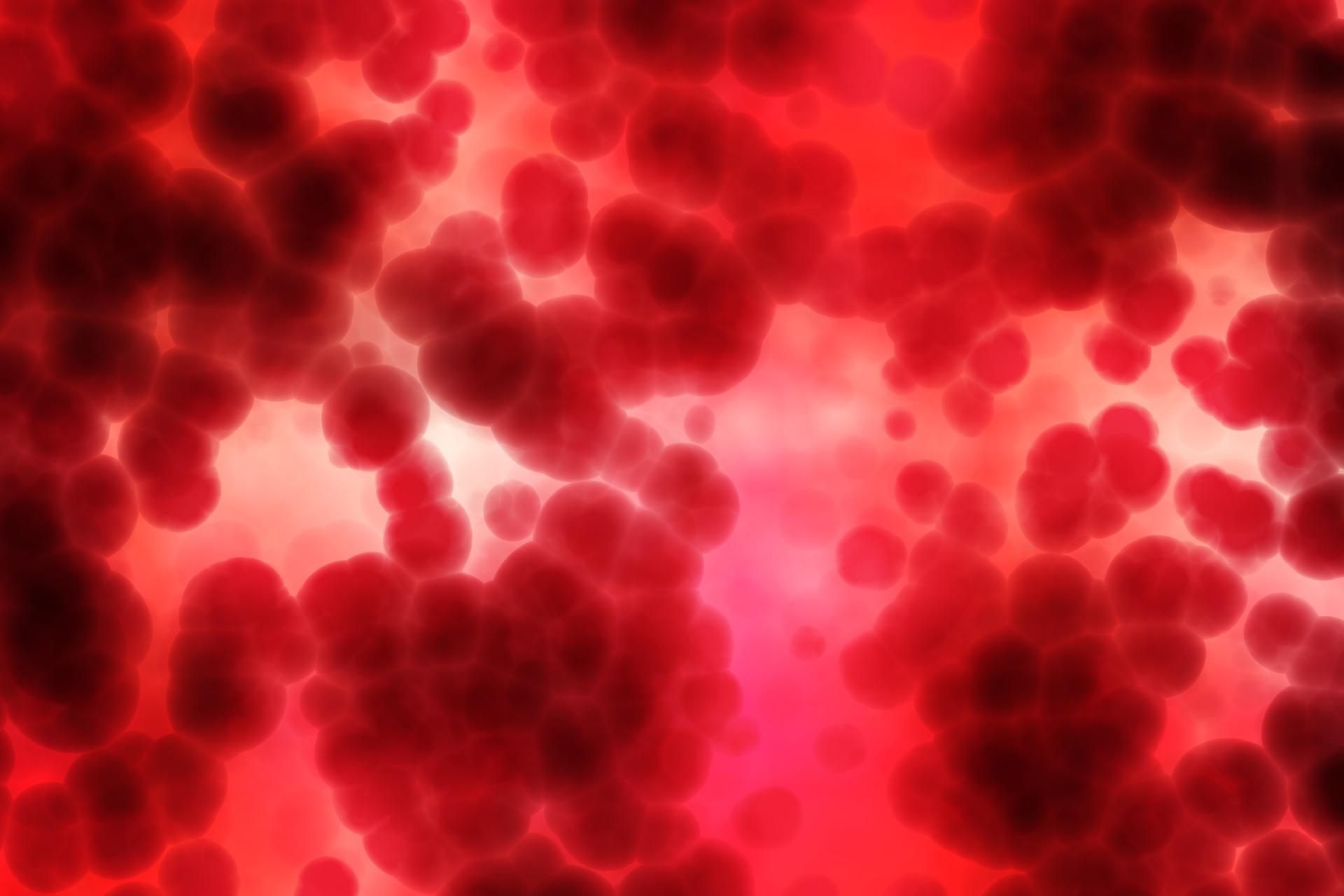 Imagem em destaque do post 7 ideias de endomarketing para o dia mundial do doador de sangue