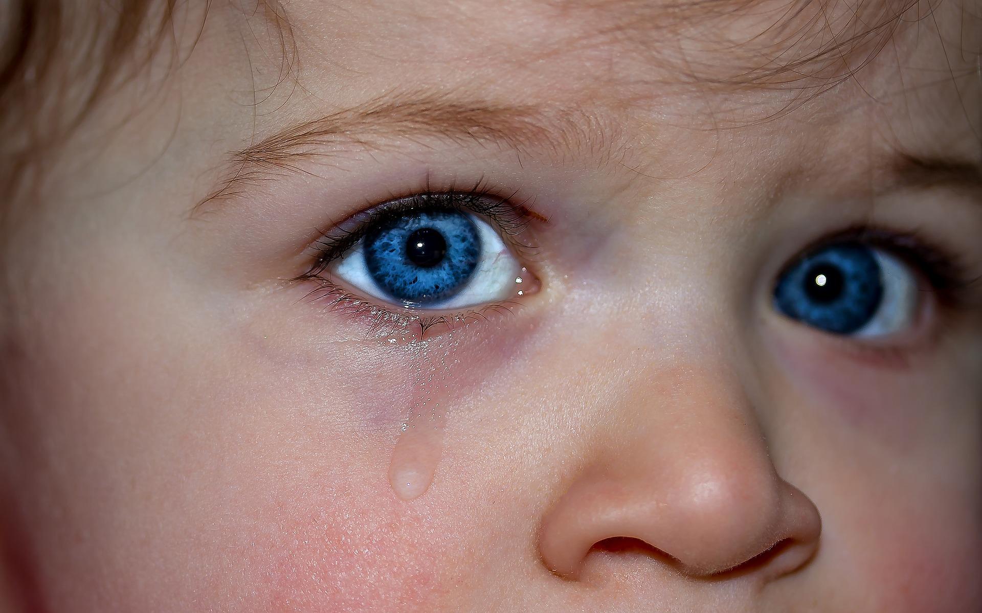 Imagem em destaque do post Você sabia que 58% do seu desempenho depende da inteligência emocional?